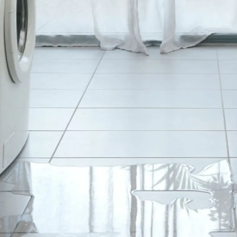 Appliance Leak Cleanup in Wellington, FL